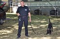 Polizeidirektion   118